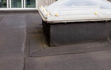 disadvantages of Dawley flat roofs