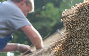 professional Dawley thatchers