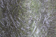 Dawley fibreglass roof work