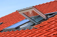 Dawley roof window